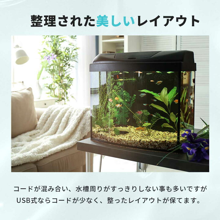 楽天市場】【ランキング100冠達成 レビューで100日保証】【当たり付き 