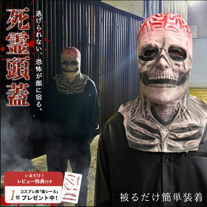 ylCizyr[ŏV[GETz A 쓪W [}XN ]݂[ 蕨 nEB Xmas Christmas  p[eB[ObY Cxgpi ʔ ϑ a  u NX}X