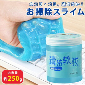 【置き配配送】 お掃除 スライムクリーナー 250g ケースタイプ 万能アイテム 吹き出し口 キーボード リモコン 車掃除 隙間掃除 ほこりとりスライム 掃除 車 内装 掃除 便利グッズ 粘着クリーナー お手入れ用品 キーボード掃除 吸着 ゴミ ホコリ 繰り返し使える パソコン