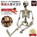 今だけ20％OFF 9/11終了 【人気商品】【楽天1位40冠達成】 今だけ限定特典｜WARNINGテープ6m付き ドクロ 人体模型 骸…