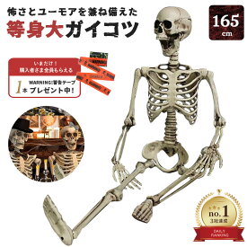 【人気商品】【楽天1位40冠達成】 今だけ限定特典｜WARNINGテープ6m付き ドクロ 人体模型 骸骨 ガイコツ 骨 等身大 置物 約165cm ホラー リアル 本格的 スケルトン ボーン 室内 置物 人形 飾り付け 仮装 イベント 撮影 怖い 恐怖 渋い かわいい ハロウィン コスプレ