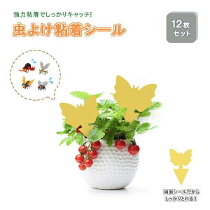 yʗX֔z y݌Ɍz悯 X^ S V[g SV[g 12Zbg XgO F  Ƃ ʃe[v ̓e[v Qߊl ߒV[g Q΍pi  ʔS