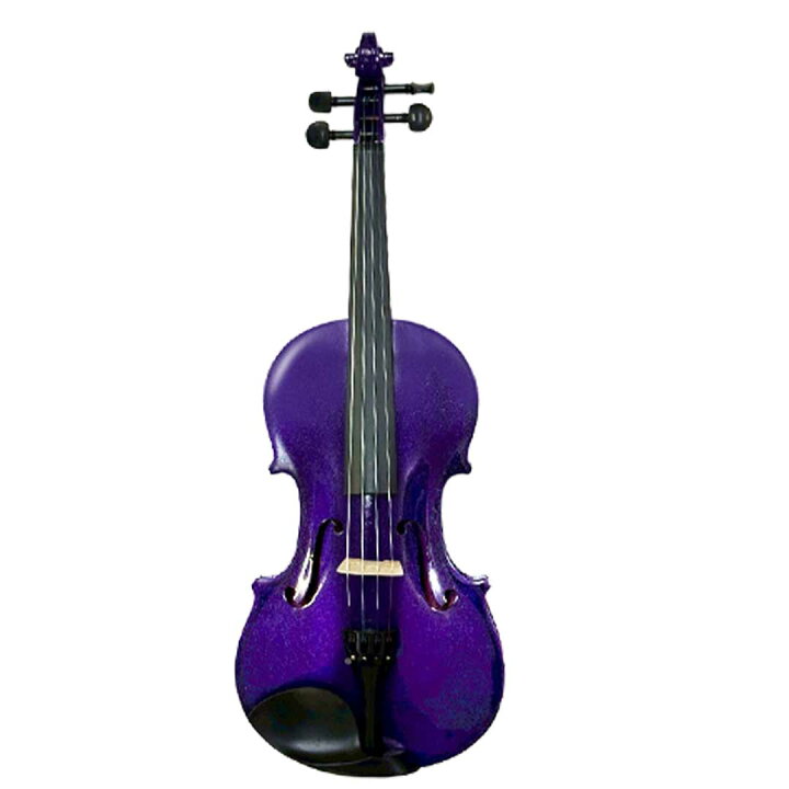 楽天市場】【楽天1位10冠達成】【人気商品】ヴァイオリン カラー 