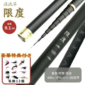 【ランキング1位6冠達成】【毛鉤セットの特典付き】ロッド 限度 カーボン 9.1m 渓流竿 万能ロッド 先調子 釣竿 釣り 海釣り 河川 湖畔 堤防 レジャー フィッシング 釣具 川魚 ヤマメ イワナ ニジマス イトウ トラウト 高強度 超軽量 携帯便利 長尺ロッド 大物対応 趣味 釣り