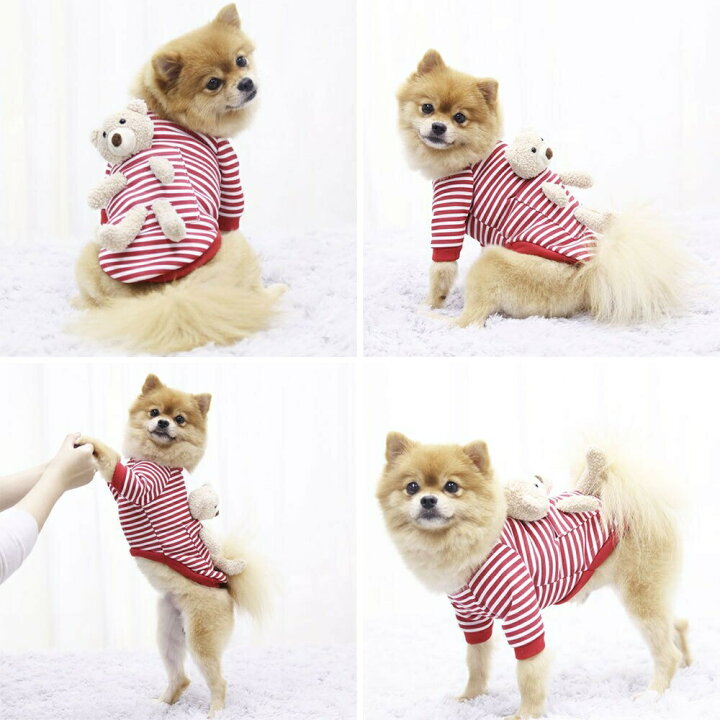 市場 ペット ミニサイズ 服 衣装 ドッグ にんじん 小型犬 黄色 用 M 小型犬用 人参 猫 犬 わんちゃん用 猫ちゃん用 ウサギ