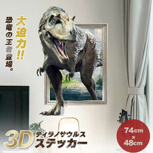 EH[XebJ[ 3D eBmTEX XebJ[ 48×74 k  _Ci\[  EH[ oX[ gC ǎ V[ CNV[g CeAV[g EBhEXebJ[ KX