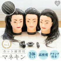 楽天市場】カット練習 マネキンの通販