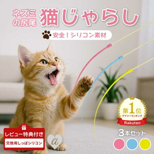 10OFF 12/11I yr[eŐ[p[cGETzĂS ybg pi L炵 lY~̐K Ver2 |XeBbN S3F 3Zbg VRfނňS L̂ LpXg