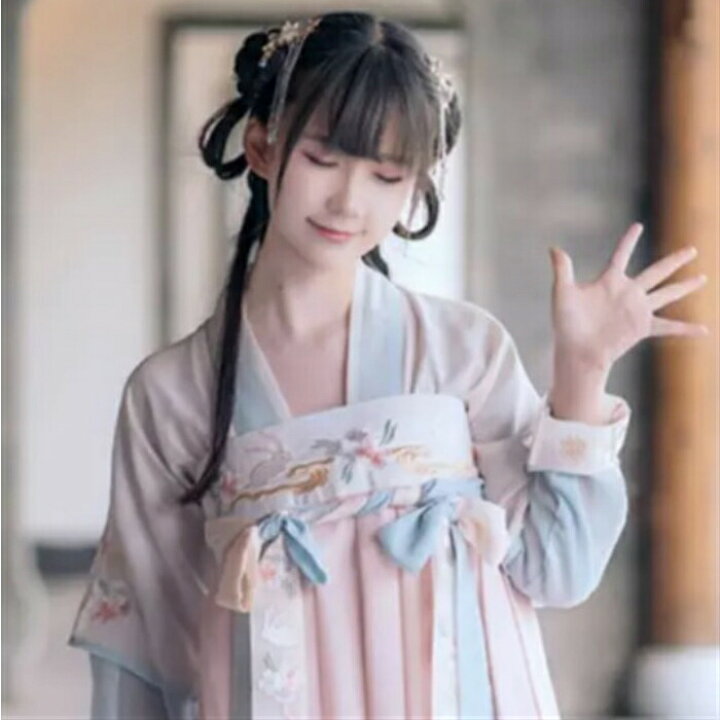 楽天市場 ウサギ 刺繍 袴 着物 浴衣 ドレス 和服 キャバドレス コスプレ衣装 コスチューム 衣装 ハロウィン 仮装 和風 巫女 個性的 成人式 パーティー 撮影会 Aio Online Store
