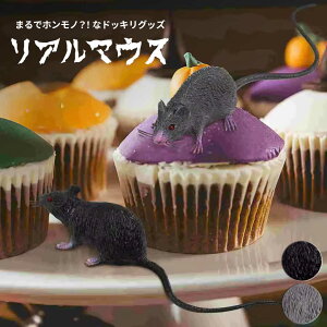 ǂ lY~ u S2F  AȃtFCN}EXŋ邨ObY ʔl^ƂSNSfQ Cxg₨Ղ ]  ݉ nEB NX}X p[eB