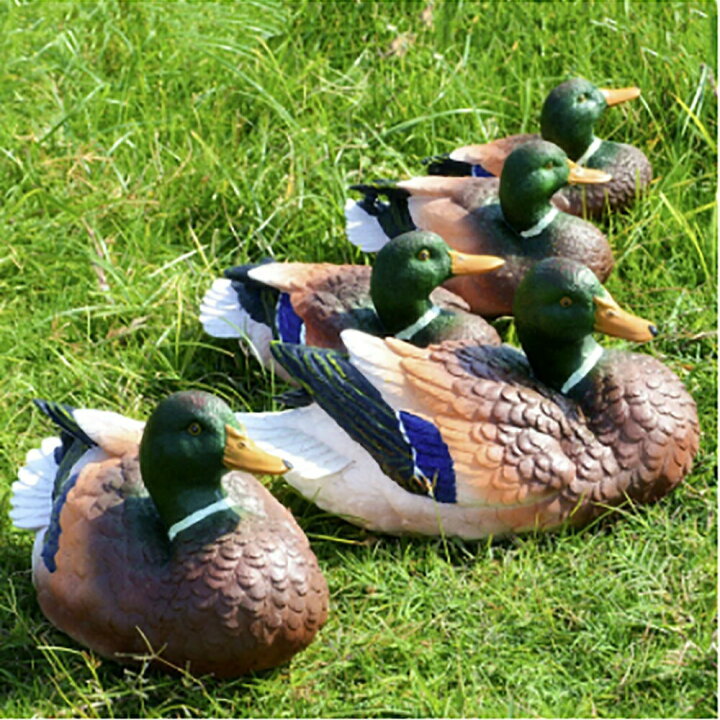 楽天市場 在庫限り 置物 カモ 鴨 鳥よけ 池 デコイ 害獣 畑 田んぼ 虫除け 家庭菜園 農業用品 資材 野菜を守る ガーデンオーナメント オブジェ ガーデンオブジェ 玄関 外 置き物 ベランダ ガーデン小物 田畑 鳥害対策 ハト ツバメ スズメ Aio Online Store 楽天市場 在庫限り 置物 カモ 鴨 鳥よけ 池 デコイ 害獣 畑 田んぼ 虫除け 家庭菜園 農業用品 資材 野菜を守る ガーデンオーナメント オブジェ ガーデンオブジェ 玄関 外 置き物 ベランダ ガーデン小物 田畑 鳥害対策 ハト ツバメ スズメ Aio Online Store