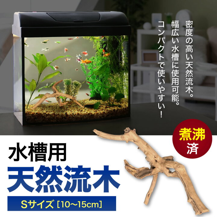 楽天市場】【置き配配送】 【1個】Sサイズ 形状お任せタイプ 