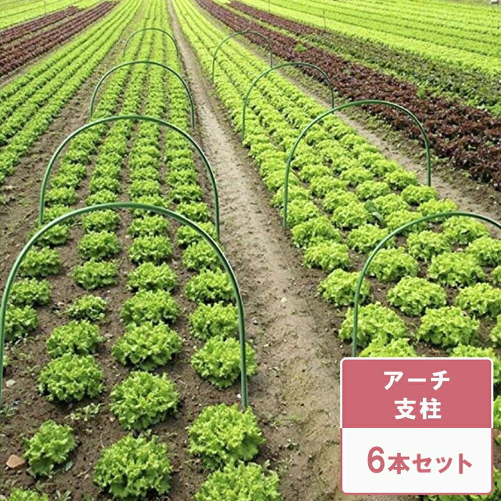 楽天市場 在庫限り アーチパイプ 支柱 畑 グリーン 6本セット ビニールハウス 家庭菜園 ガーデニング 農作業 栽培 資材 園芸用品 農業資材 園芸 支柱 アーチ支柱 トンネル支柱 農業用 支柱 園芸用支柱 ガーデン用品 園芸用具 園芸道具 農業用資材 Aio Online Store