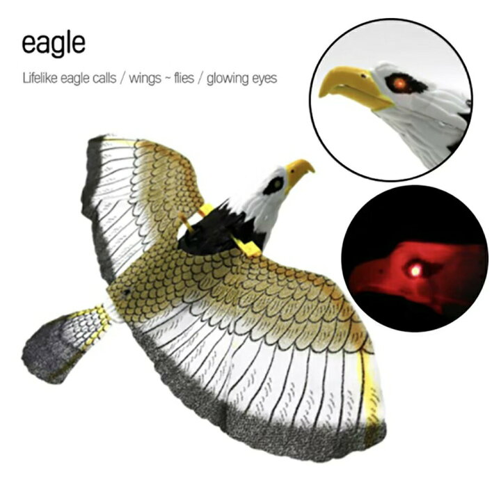 楽天市場 玩具 鷹 タカ 鷲 ワシ 動く 鳴く 猛禽類 おもちゃ 鳥おどし ベランダ 玄関 ハト避け 予防 畑 バード 防鳥 カラス対策 からすよけ 家庭菜園 農業用品 資材 田畑 鳥害対策 ハト ツバメ スズメ 雀 果樹園 菜園 豚舎 牛舎 楽天市場 玩具 鷹 タカ 鷲 ワシ 動く 鳴く 猛禽類 おもちゃ 鳥おどし ベランダ 玄関 ハト避け 予防 畑 バード 防鳥 カラス対策 からすよけ 家庭菜園 農業用品 資材 田畑 鳥害対策 ハト ツバメ スズメ 雀 果樹園 菜園 豚舎 牛舎