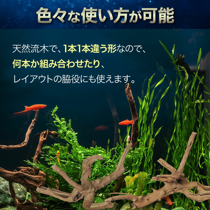 楽天市場】【1個】Sサイズ 形状お任せタイプ アクアリウム 流木 煮沸済 