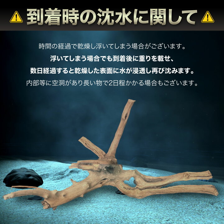 楽天市場】【1個】Sサイズ 形状お任せタイプ アクアリウム 流木 煮沸済 
