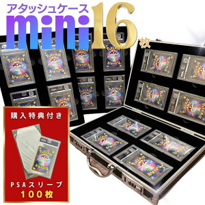 yؓTtXɍ؃r[TLz gJ P[X A^bVP[X 16[ d |PJ[h |PJ VY fG} gCK[ J[hP[X Xg[W {bNXgJ P[