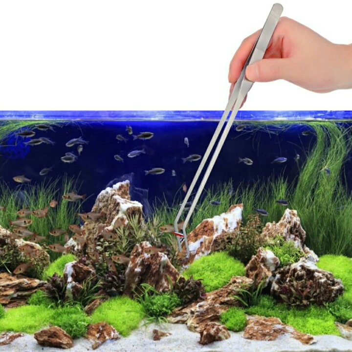 楽天市場 水槽 用 お手入れ4点セット スポイト ブルー ピンセット 網 水槽掃除 アクアリウム 隔離 メダカ 安心 安全 飼育 自由研究 かわいい 可愛い ペット 稚魚 淡水 観察 繁殖 プレゼント 養殖 増やす 保護 巣 家 卵 Diy ケージ 水草 楽天市場 水槽 用 お手入れ4点セット スポイト ブルー ピンセット 網 水槽掃除 アクアリウム 隔離 メダカ 安心 安全 飼育 自由研究 かわいい 可愛い ペット 稚魚 淡水 観察 繁殖 プレゼント 養殖 増やす 保護 巣 家 卵 Diy ケージ 水草