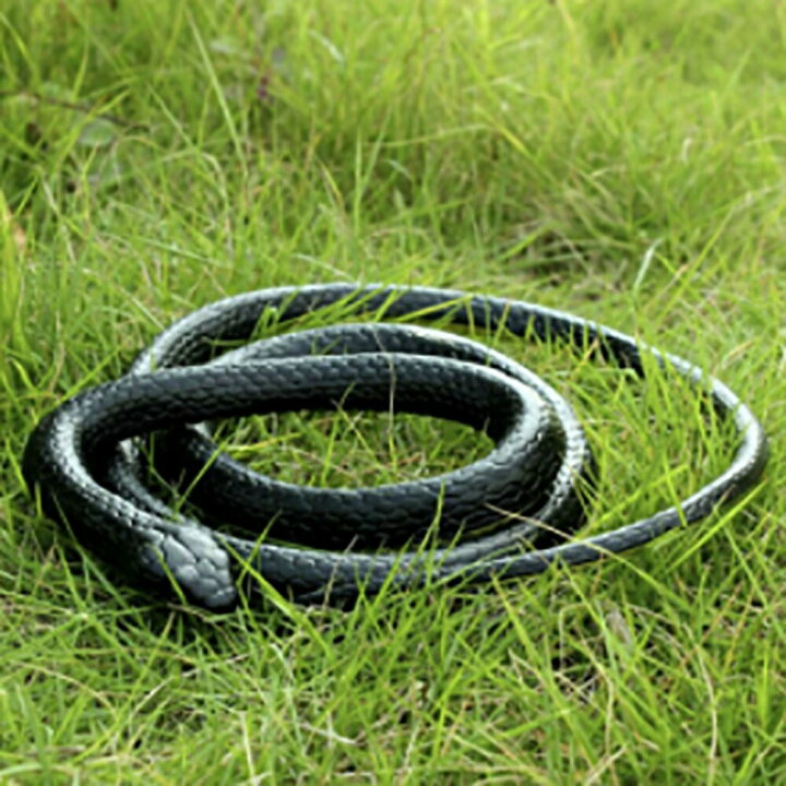 楽天市場 玩具 蛇 ヘビ スネーク Snake おもしろ ドッキリ ガラガラヘビ パーティーグッズ 恐怖 爬虫類 悪ふざけ ジョーク おもちゃ 誕生日 クリスマス ギフト サプライズ 手品 マジック マジシャン Magic 木製 友人 家族 パーティー Aio Online Store