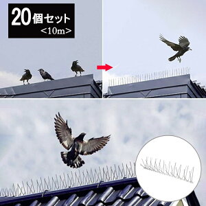 悯 j 20Zbg Qb悯 XpCN L x_  ng Q΍ Nh~ \h Qb  o[h Jbg\ h JX΍ 炷悯 ƒ؉ _Ɨpi  c Q