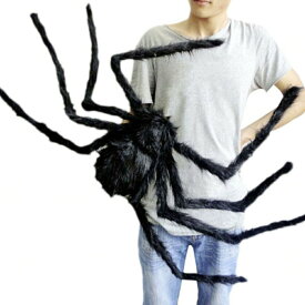 【人気商品】【置き配配送】 ぬいぐるみ 玩具 蜘蛛 クモ 81cm スパイダー 特大 おもしろ ドッキリ 飾り ハロウィン パーティーグッズ 恐怖 ジョークグッズ 悪ふざけ おもちゃ 手品 マジック マジシャン サプライズ エンターテイメント 室内 装飾 特大サイズ 誕生日