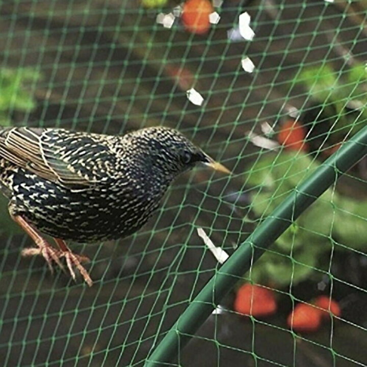 楽天市場】ネット 鳥よけネット グリーン 4m×10m 畑 バードネット 長さ 