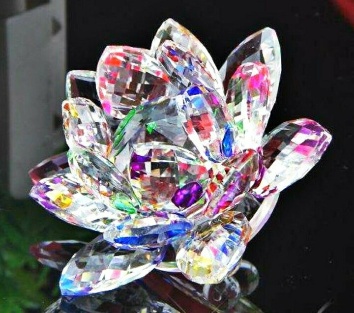 楽天市場】【スーパーセール10％OFF 3/11日迄】 【在庫限り】蓮の花 