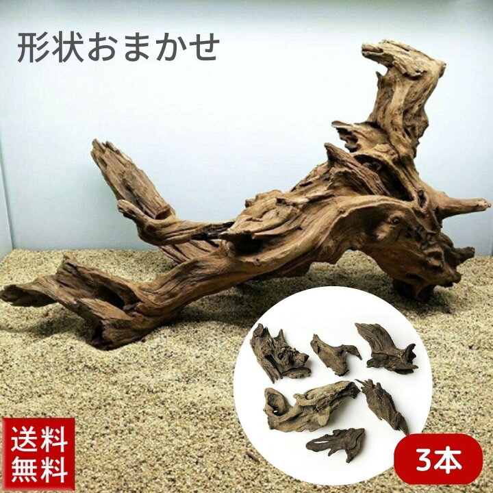 楽天市場】福袋 アクアリウム 流木 Ver2ー 3本セット 形状お任せタイプ 