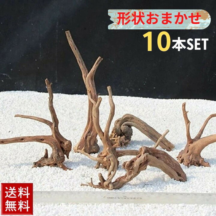 楽天市場】福袋 アクアリウム 流木 Ver1ー 10本セット 形状お任せ 