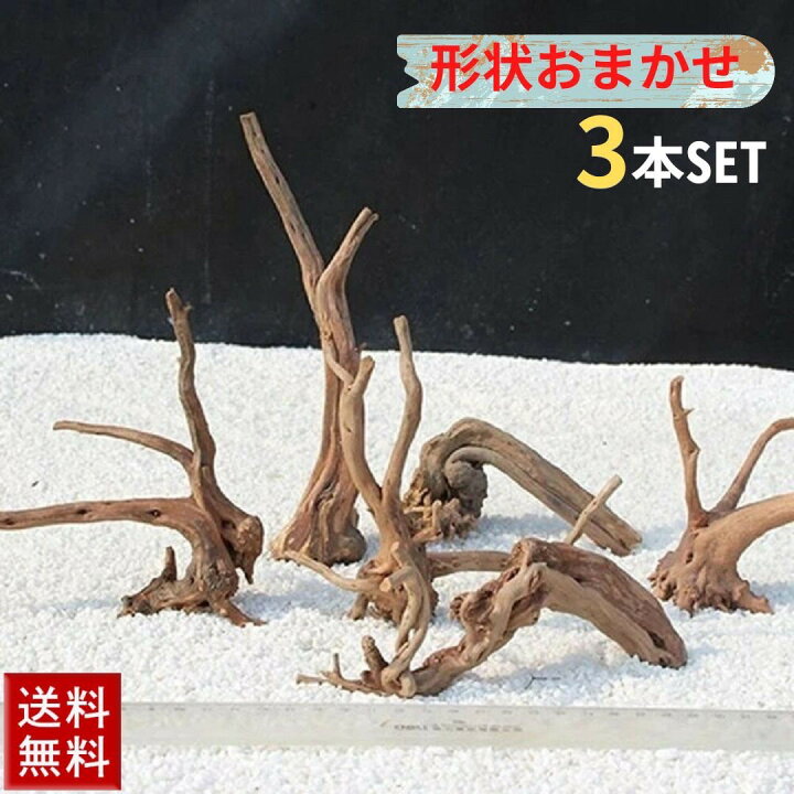水槽関連】流木セット1