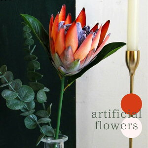 y݌Ɍz CeA t[AWg  c̉  or  1{ CeA 썑̉ veA nCA t[ u Ԓd  rO GgX   Ϗܗp 