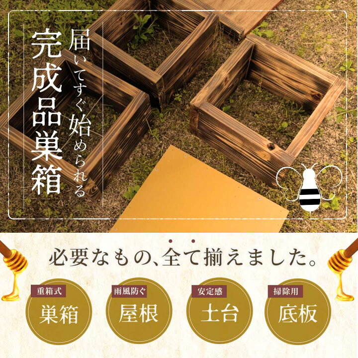 楽天市場】【楽天1位30冠達成】【手作り杉材！完成品6点セット】日本語 