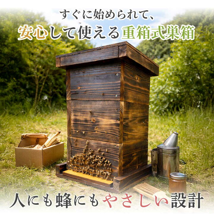 楽天市場】【楽天1位30冠達成】【手作り杉材！完成品6点セット】日本語 