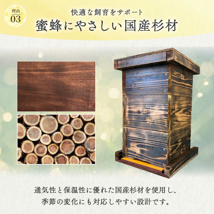 楽天市場】【楽天1位30冠達成】【手作り杉材！完成品6点セット】日本語 
