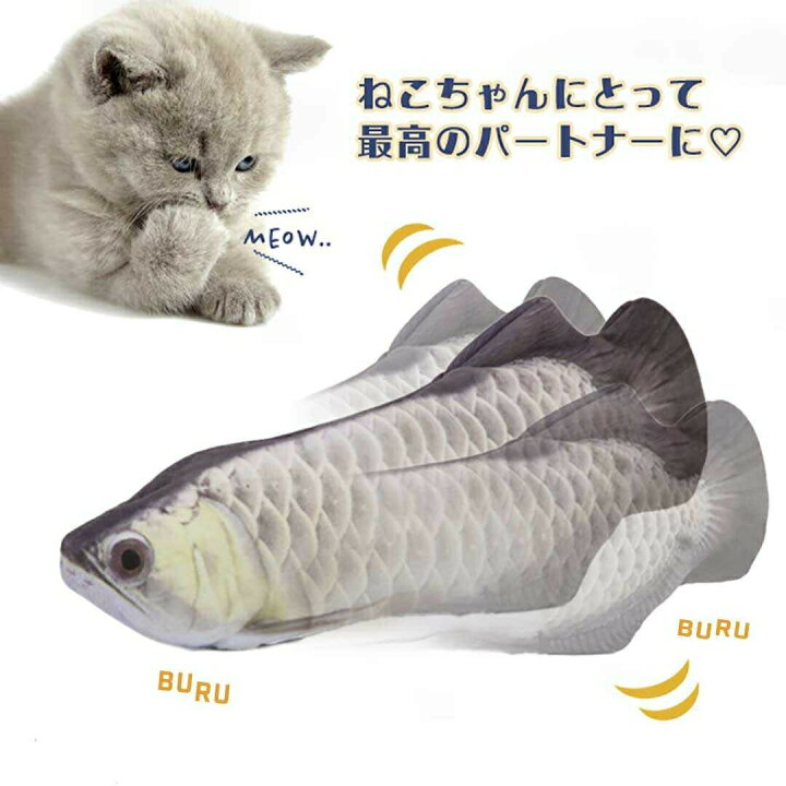 楽天市場】【スーパーセール10％OFF 6月11日迄】 【在庫限り】猫 