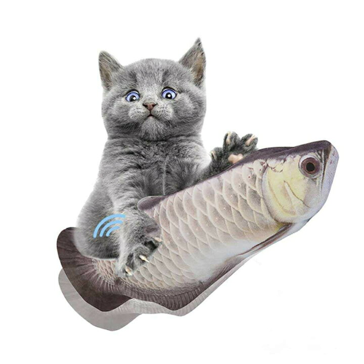 楽天市場】【スーパーセール10％OFF 6月11日迄】 【在庫限り】猫 