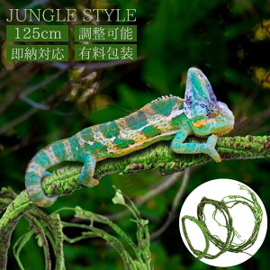 eE Ãc^ ঒ 125cm IuWF u CeA  WO JG JI chameleon wr T\ COAi gJQ J  Ru  JugV NK^ MщJ