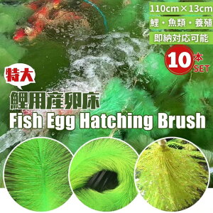 Y  {B Yp  ɐBuV 10Zbg p ь B ̊ώ@  ANAE RC u S S  R 킢  ybg Y܂ t W ώ@ ɐB v