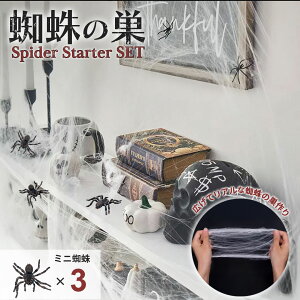 nEB  XpC_[ Zbg ~jw3+̑zCg1 AXpC_[ XpC_[EFu G z[ A {iI t   | | ؃ObY  p