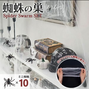 nEB  XpC_[ Zbg ~jw10+̑zCg1 AXpC_[ XpC_[EFu G z[ A {iI t   | | ؃ObY  p