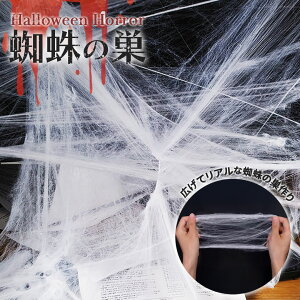 ylCiz nEB  ̑ 1 zCg XpC_[EFu G z[ A {iI t   | | ؃ObY  p[eB[ DIY fR[V A