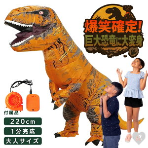  eBmTEX D RXv Sg^Cv  b _Ci\[  t[TCY jp ʔ  ʔRXv CX^f ߑ p[eB[ Cxg Ղ 