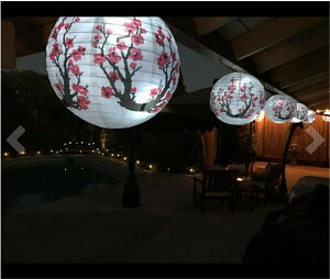 20OFF 12/11I y݌ɌzyLO13Bz  ~̉ ے a a a m IG^v   Xg   `Ci^E ؊X  