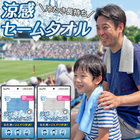 アイオン 涼感セームタオル 冷感タオル クールタオル 濡らしてひんやりタオル 束ねられるゴムリング付き ブルー/グレー 日本製 PVAスポンジ素材 水に濡らして繰り返し使える 軽量 気化熱で冷たい 夏 暑さ対策 熱中症対策 スポーツ ウォーキング スポーツ観戦 レジャー