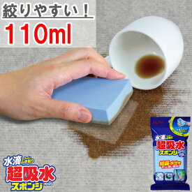 メーカー公式 アイオン 超吸水スポンジ 110ml 結露 水滴 カビ予防 窓 お風呂 洗面台 キッチン