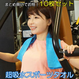 セームタオル アイオン 超吸水スポーツタオル マルチユース10枚セット スイムタオル セーム ひんやりタオル 吸水タオル セイムタオル 水泳 超吸水 暑さ対策