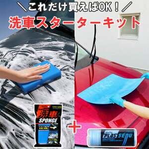 洗車スターターキット (アイオン 洗車スポンジ+プラスセーヌ レギュラーサイズ) 日本製 ボディ 窓 ガラス ホイール 傷が付かない 水滴拭き取り