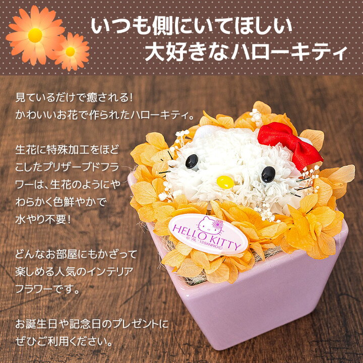 市場 ハローキティ 盾 ギフト トロフィー 誕生日プレゼント 還暦祝い キティちゃん 誕生日 名入れ 母の日