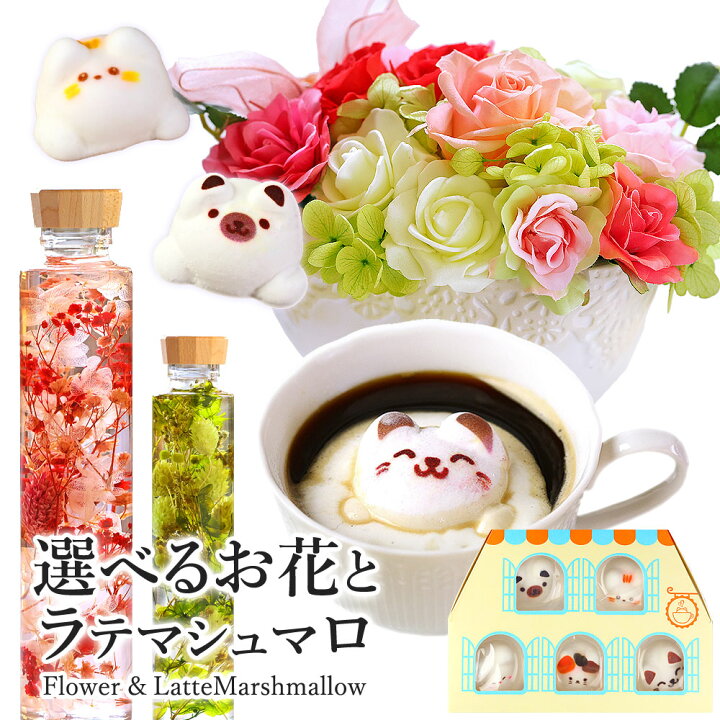 楽天市場 選べるフラワーギフト ハーバリウム または プリザーブドフラワー Latte マシュマロ ラテマル 5個 送料無料 お菓子 誕生日 プレゼント 母親 60代 母 女性 70歳 お祝い 内祝い 御礼 お礼 贈り物 おしゃれ フラワー インテリア 感謝 ねこ 動物 アニマル かわいい
