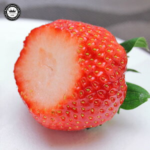楽天市場 フルーツ くだもの いちご 苺 ベリー 美人姫 岐阜県産いちご いちご 桐箱 超特大サイズ 1粒 日本ロイヤルガストロ倶楽部
